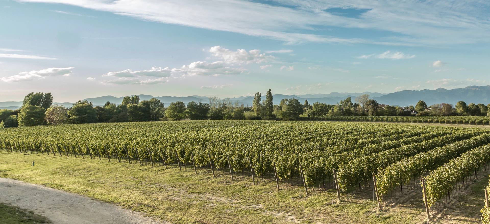 Agriturismo Lake Como and Lake Garda Family agriturismo Lake Garda with large pool