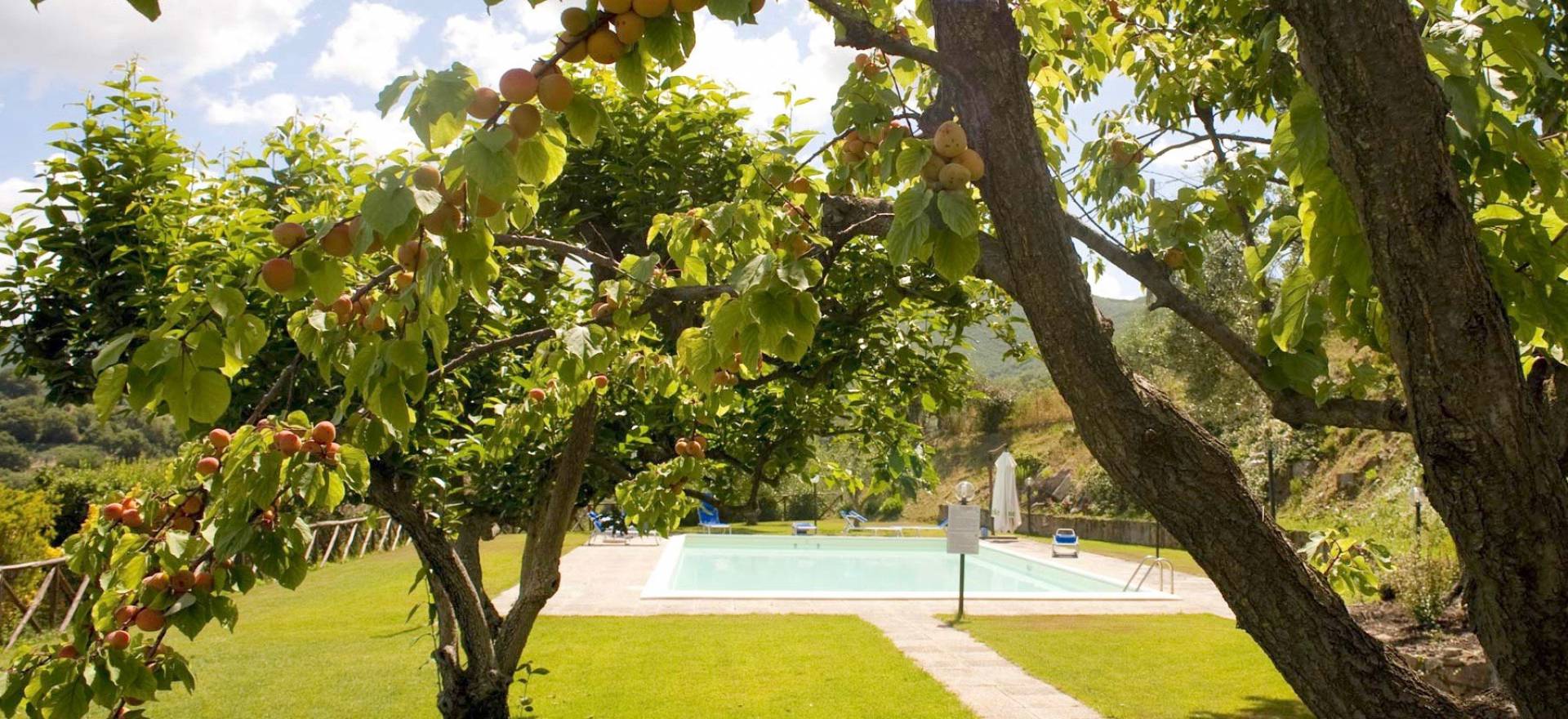 Agriturismo Tuscany Luxury agriturismo near the sea in Tuscany