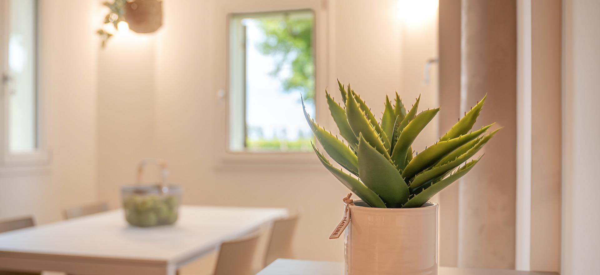 Agriturismo Veneto Perfect agriturismo for families, 20 minutes from the beach.