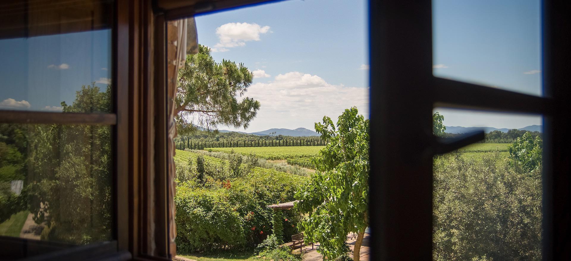 Agriturismo Tuscany Quietly situated agriturismo in Tuscany with friendly owners