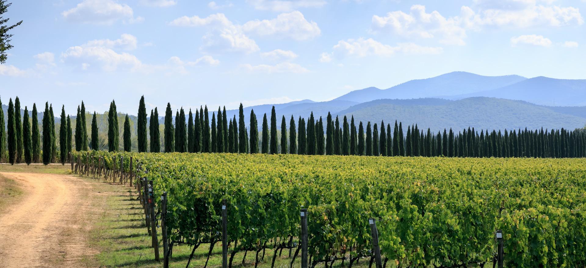 Agriturismo Tuscany Quietly situated agriturismo in Tuscany with friendly owners