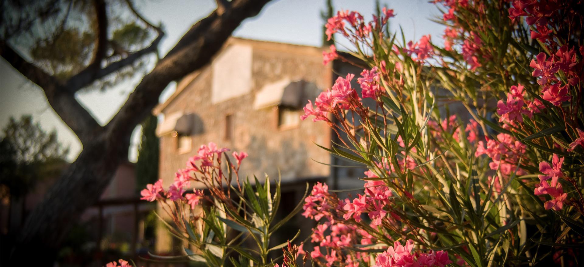 Agriturismo Tuscany Quietly situated agriturismo in Tuscany with friendly owners