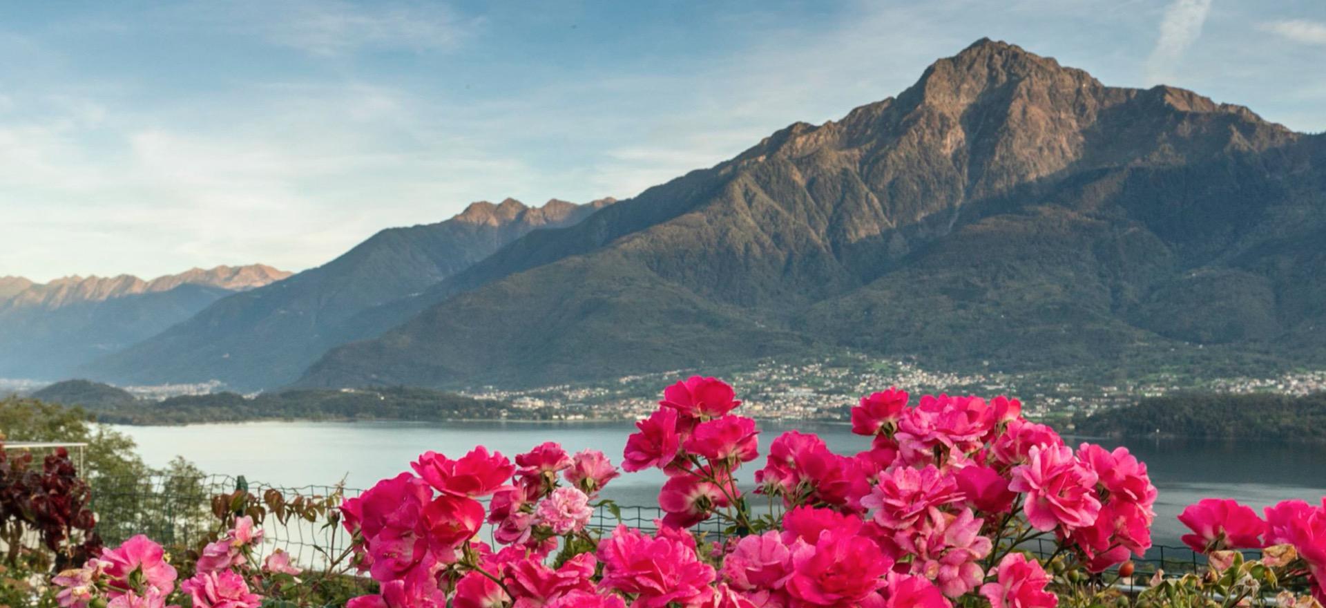 Agriturismo Lake Como and Lake Garda Residence lake Como, child-friendly and amazing views
