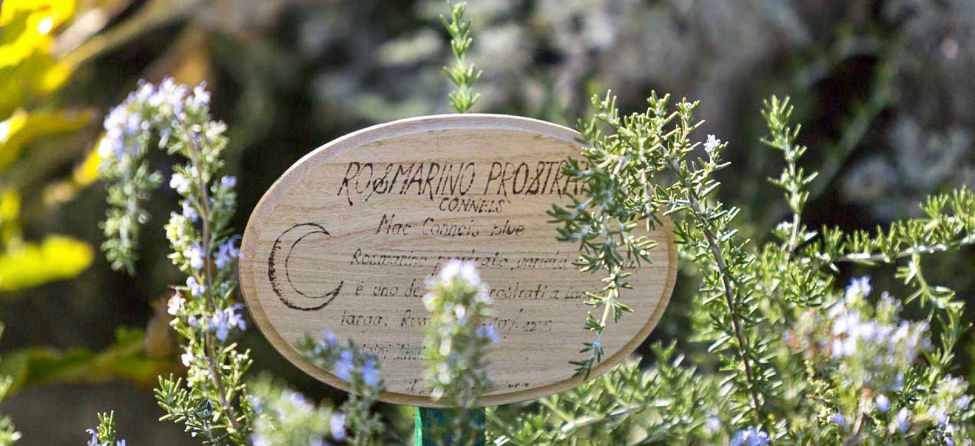 Agriturismo Marche Romantic agriturismo in le Marche with restaurant