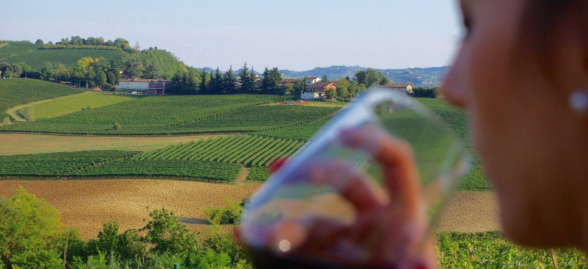 Agriturismo Piedmont Romantic agriturismo in the hills of Piedmont
