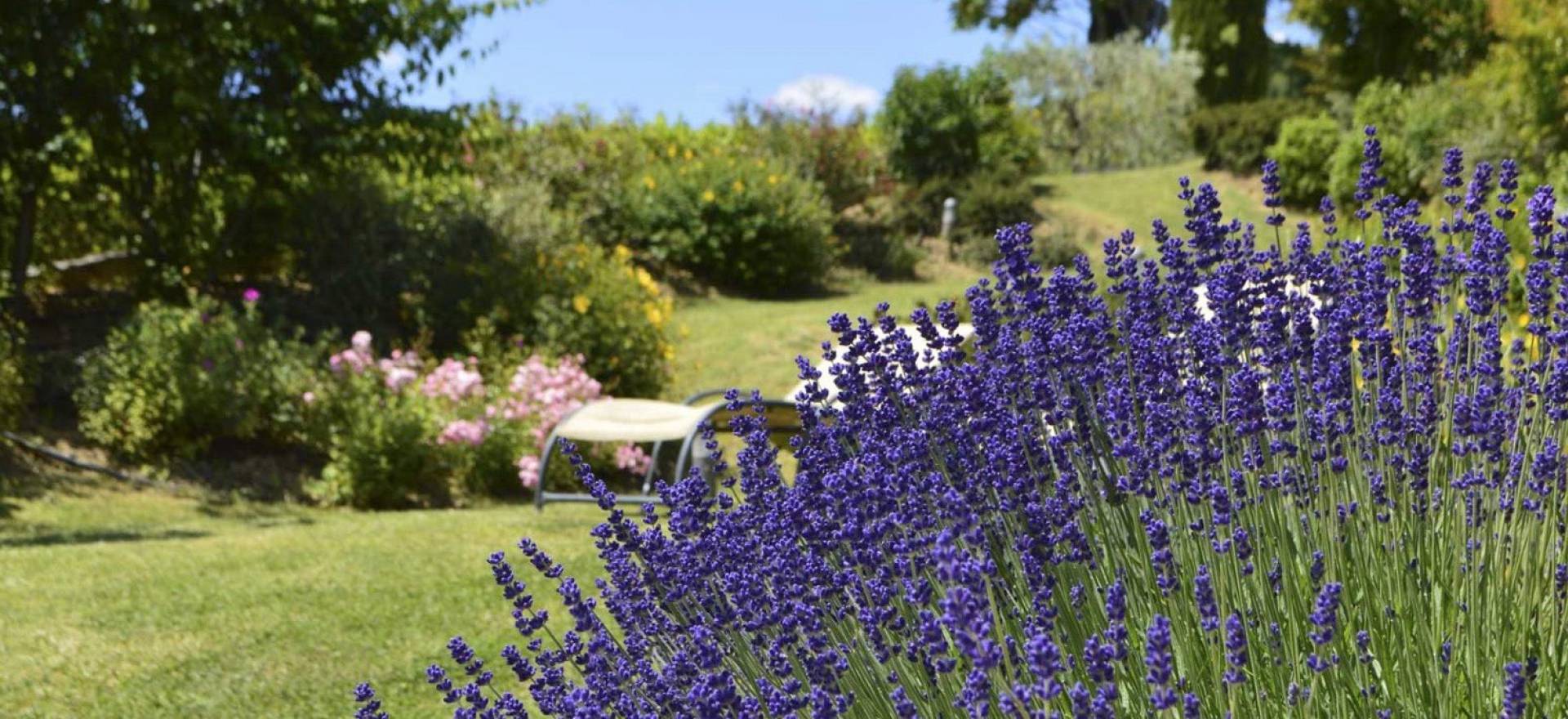Agriturismo Tuscany Romantic agriturismo with views of San Gimignano