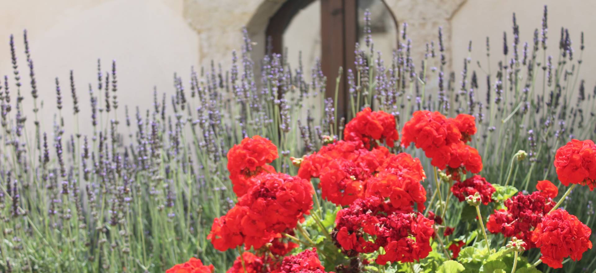 Agriturismo Sicily Sicilian citrus agriturismo near the beach