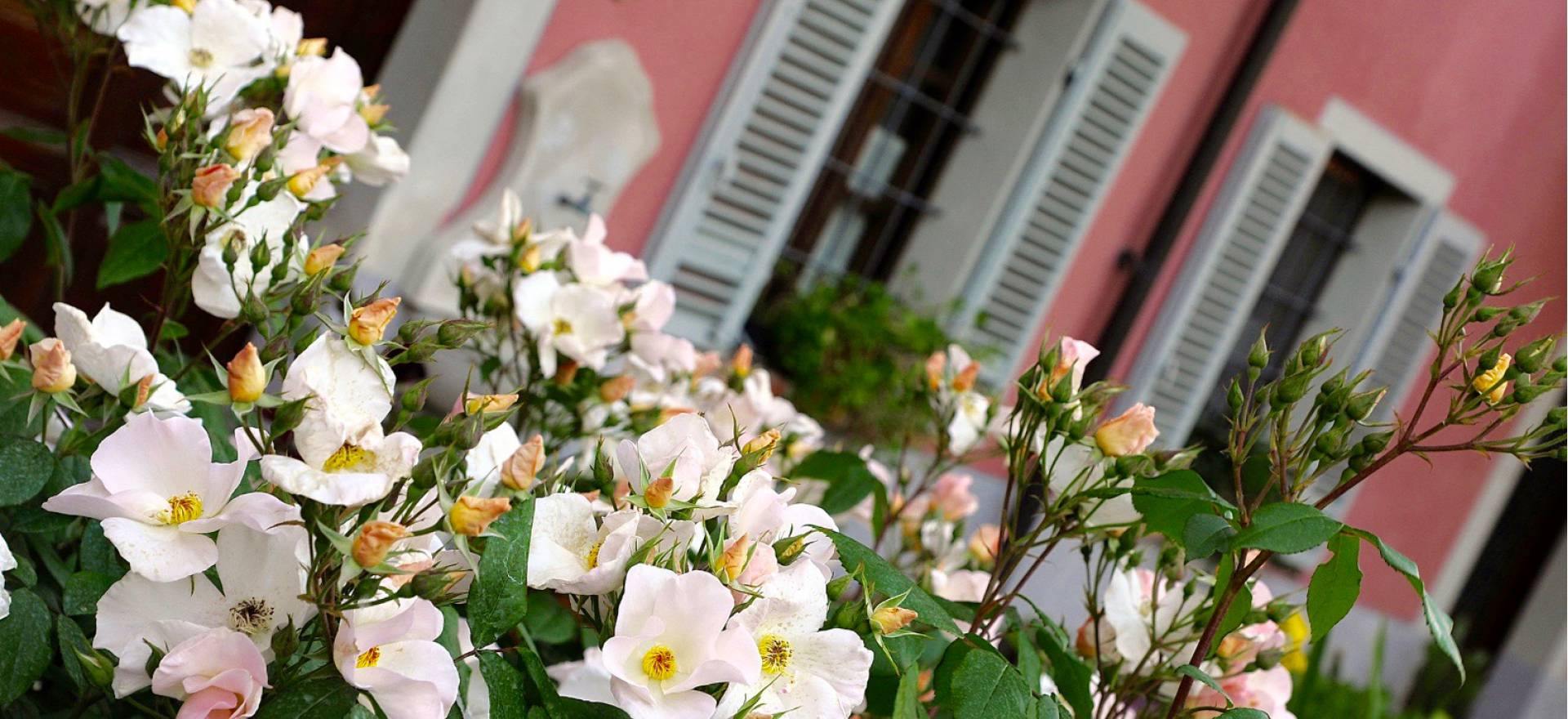 Agriturismo Piedmont Welcoming and charming agriturismo in Piedmont